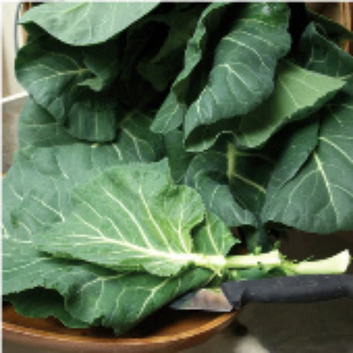 Champion Collards CD2-250