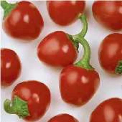 Cherry Pick Peppers SP191-10