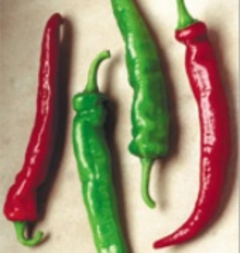 Cheyenne Peppers HP1993-10