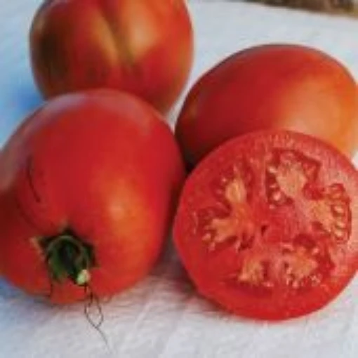 Comstock Sauce & Slice Tomato TM255-20