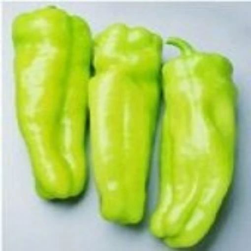 Cubanelle Peppers SP21-20