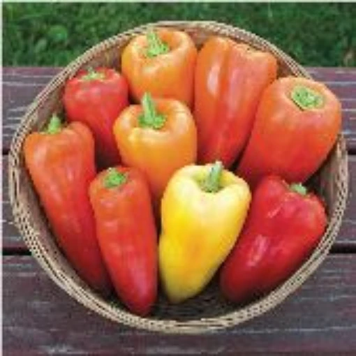 Feherozon Peppers SP204-10