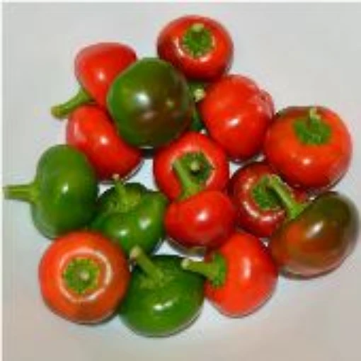 Flat Cherry Peppers HP1886-20