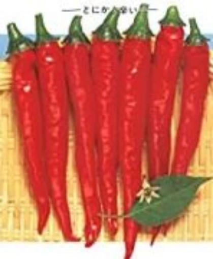 Gekikara Peppers HP1076-20