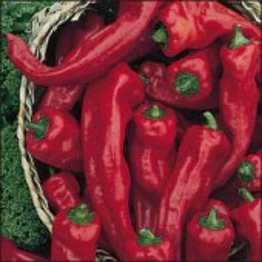 Georgia Flame Peppers HP87-20