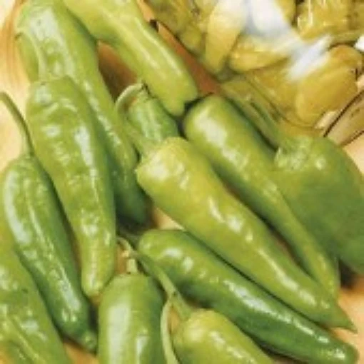 Golden Greek Pepperoncini Peppers HP463-20