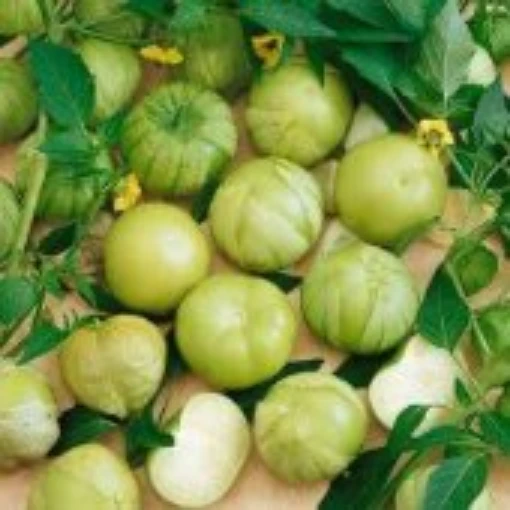 Grande Rio Verde Tomatillo TL13-20