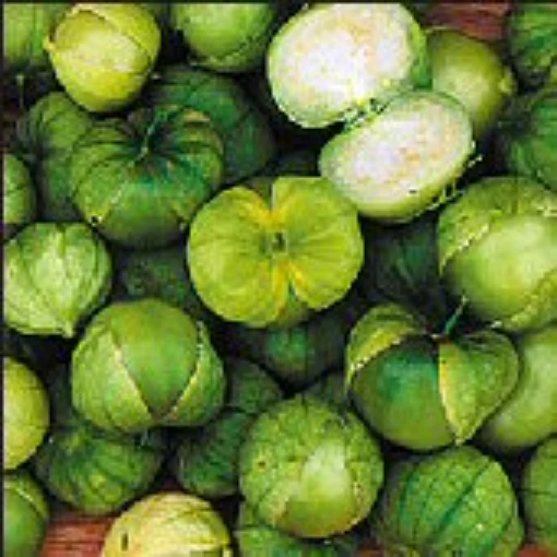 Green Husk Tomatillo TL6-20