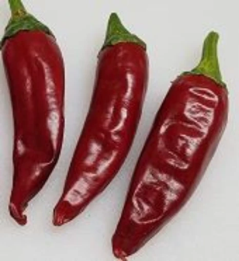 Guajillo Peppers HP92-20