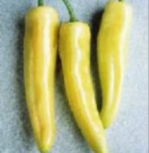 Hot Banana Hot Peppers HP1896-20