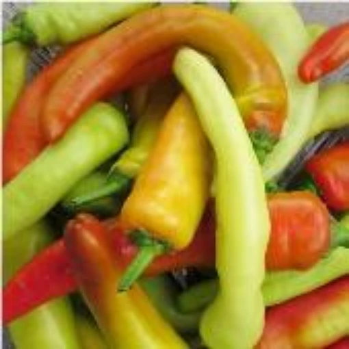 Hungarian Yellow Wax Hot Peppers HP1349-20