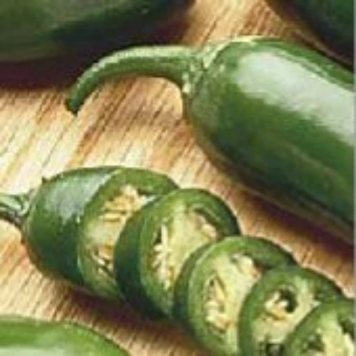 Jalapeno Peppers HP1858-20