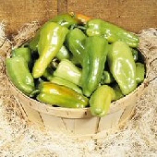 Key Largo Peppers SP224-10