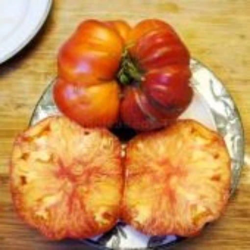 Mammoth German Gold Tomato TM326-20