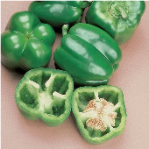 North Star Peppers SP48-20