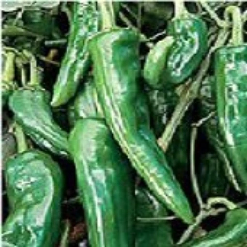 NuMex Espanola Improved Hot Peppers HP1305-20