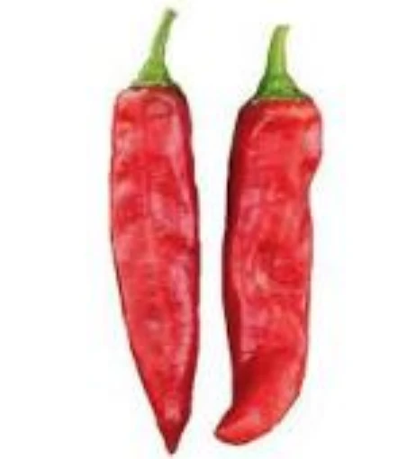 NuMex R Naky Peppers HP168-20