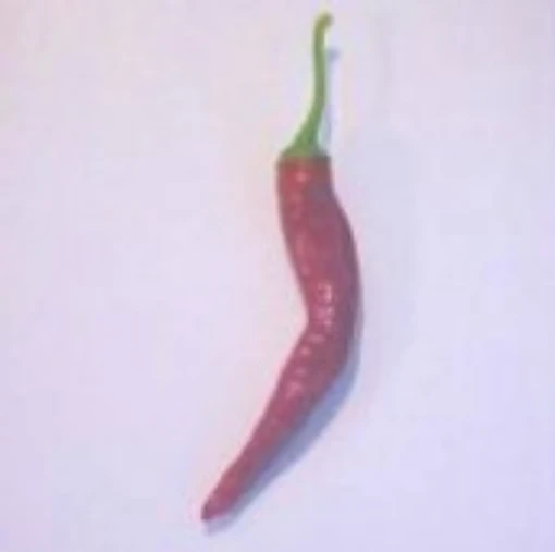 Pili Pili Hot Peppers HP1156-10