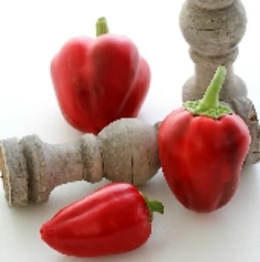 Pimento Peppers SP111-20