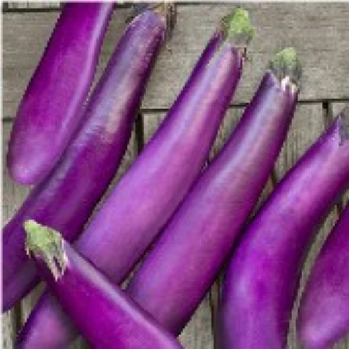 Ping Tung Long Eggplants EG17-50