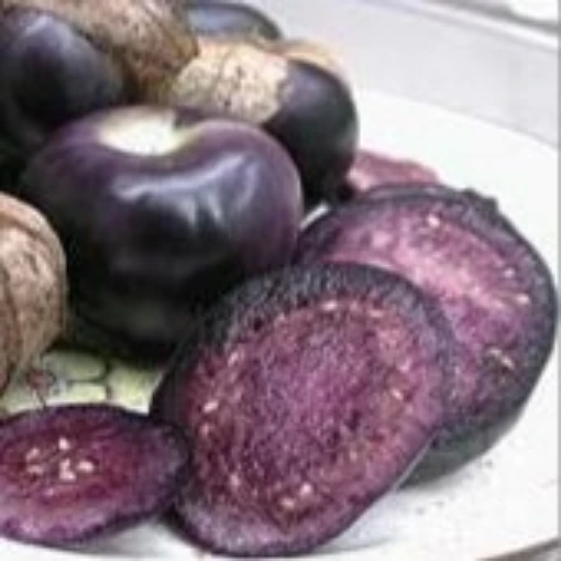 Purple Tomatillo TL3-20