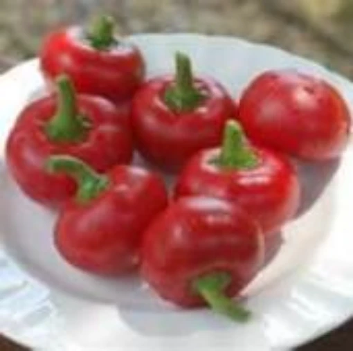 Red Cherry Large Sweet Peppers SP247-20