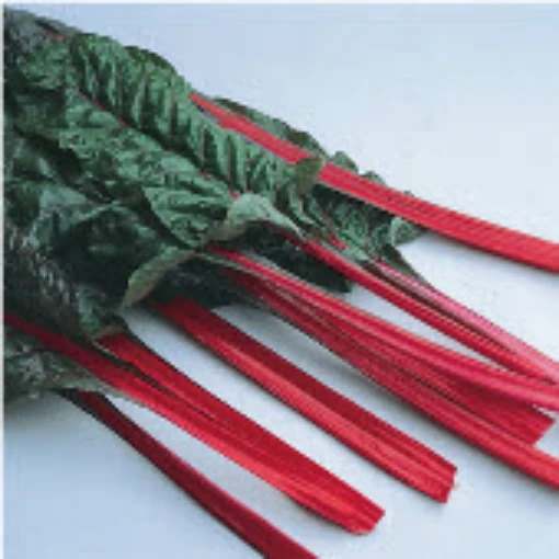 Rhubard Swiss Chard SW11-100
