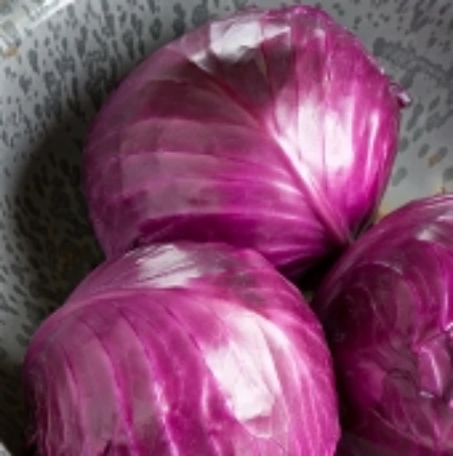 Ruby Perfection Cabbage CB33-100