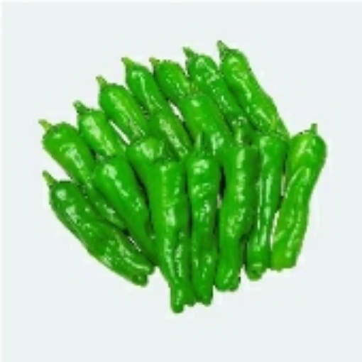 Shishito Peppers HP427-20