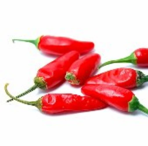 Small Red Chili Hot Peppers HP221-20