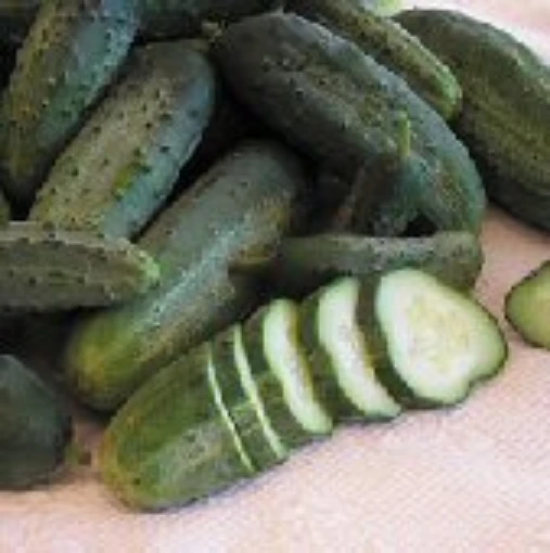 Snow's Fancy Pickling Cucumbers CU110-20