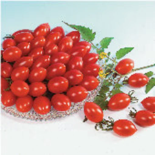 Sugary Tomato TM388-20