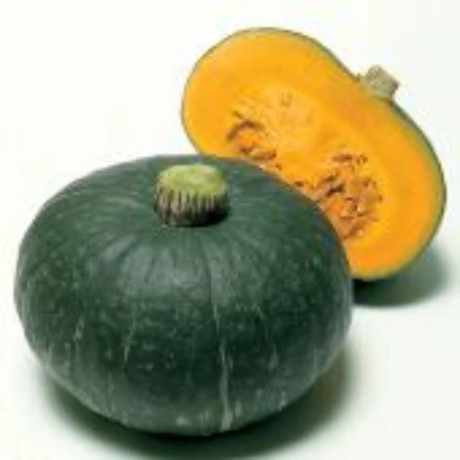 Sweet Mama Squash SQ52-10