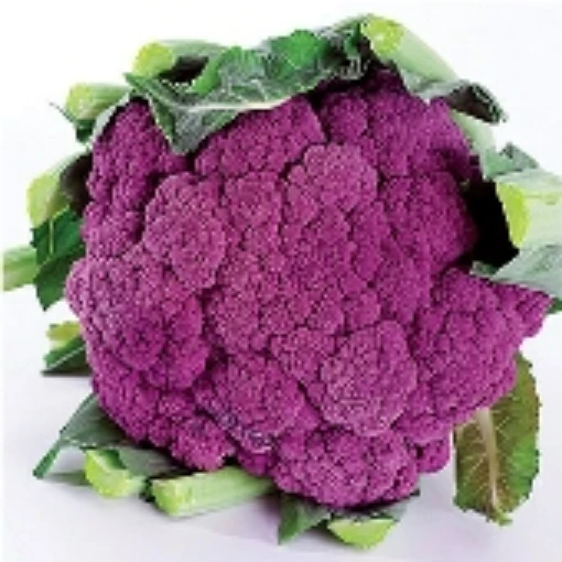 Violetta Italia Cauliflower CF12-100