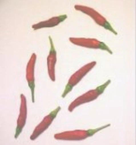 Zimbabwe Bird Hot Peppers HP470-10