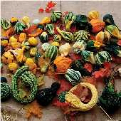 Autumn Wings Gourds (Large) GD51-10