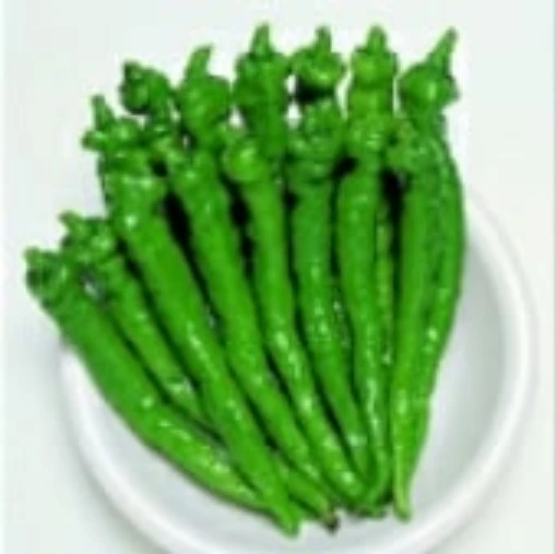 Fushimi Sweet Peppers SP265-20