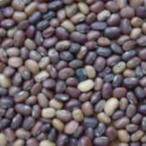 Iron & Clay Cowpeas CP21-50