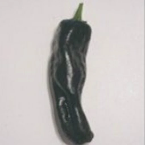 Negro Peppers HP1086-10