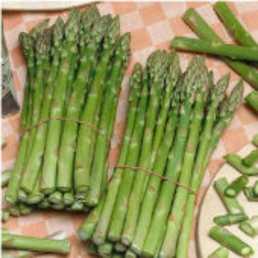 UC 157 Asparagus AS5-20