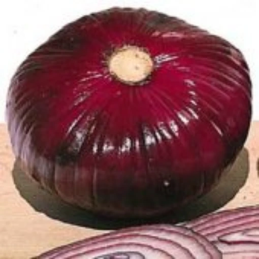 Giant Red Hamburger Onions ON9-50