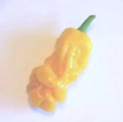 Peter Pepper Hot Peppers (Yellow) HP185-20