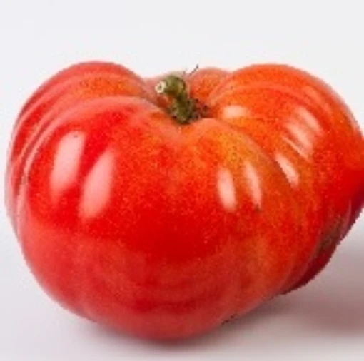 Neves Azorean Red Tomato TM685-10