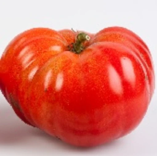 Marizol Red Tomato TM687-10