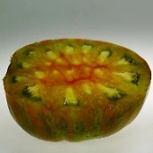 Big Zebra Tomato TM324-20