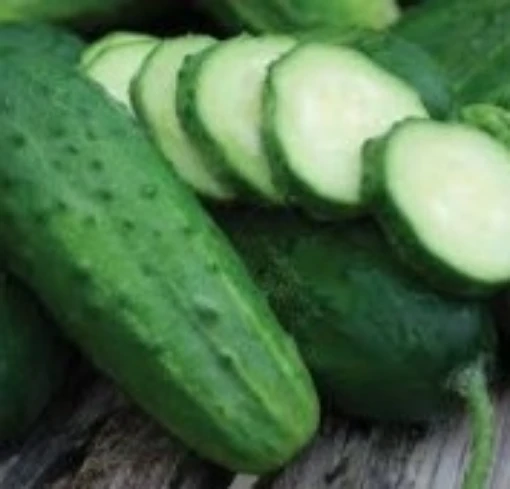 Delikatesse Cucumbers CU119-20