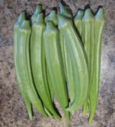 Fife Creek Cowhorn Okra OK31-10