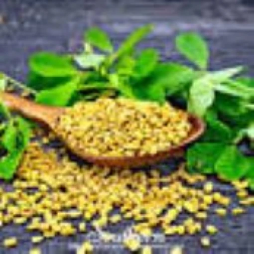 Fenugreek HB39-100_Base