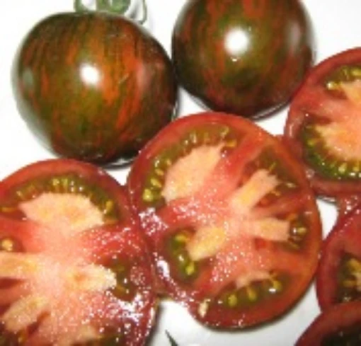 Black Zebra Tomato TM708-20