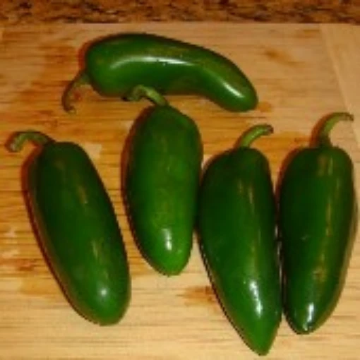 Jumbo Jalapeno Hot Peppers HP136-10